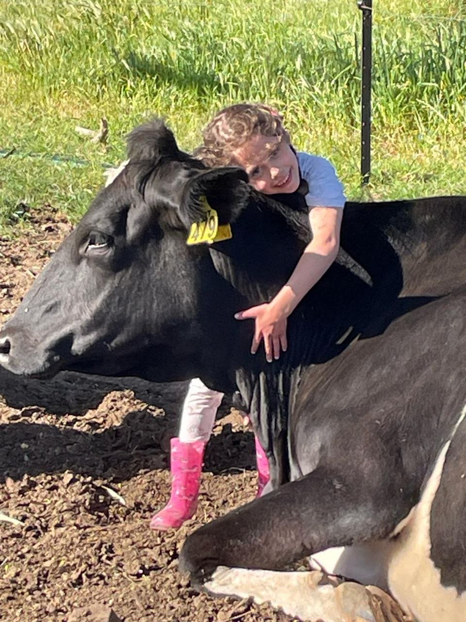 Life on the Paringa Park View farm