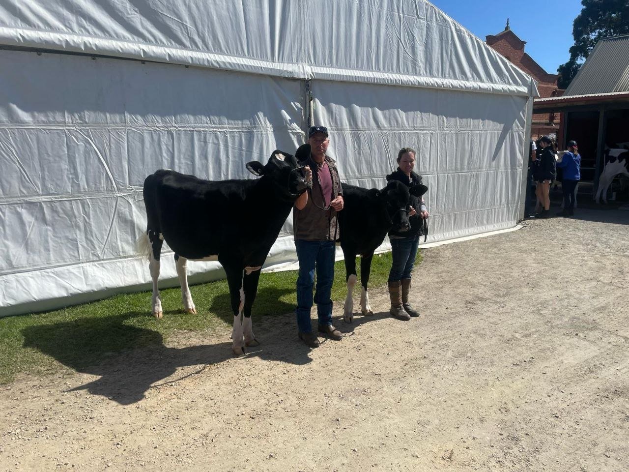 Show day at Paringa