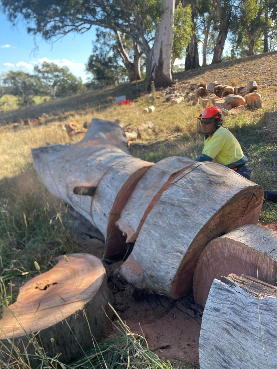 Life on the Paringa Park View farm